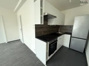 Pronájem bytu 2+kk, Chomutov, Žižkovo náměstí, 50 m2