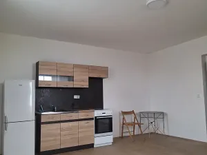 Pronájem bytu 1+kk, Chotěšov, Ořechová, 38 m2
