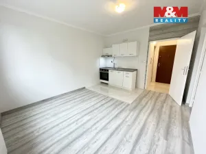 Pronájem bytu 1+1, Sokolov, Jelínkova, 38 m2