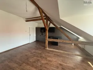 Pronájem bytu 2+kk, Chomutov, 28. října, 72 m2