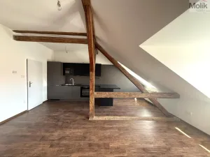 Pronájem bytu 2+kk, Chomutov, 28. října, 72 m2