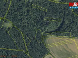 Prodej lesa, Přerov nad Labem, 70048 m2