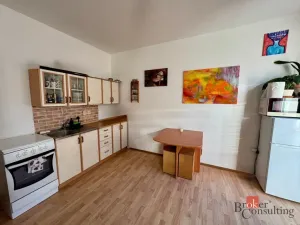 Pronájem bytu 1+kk, České Budějovice - České Budějovice 3, Nová, 30 m2