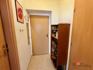 Pronájem bytu 1+kk, České Budějovice - České Budějovice 3, Nová, 30 m2