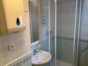 Prodej rodinného domu, Třebíč - Jejkov, Smila Osovského, 240 m2