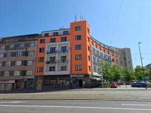 Pronájem bytu 2+kk, Praha - Žižkov, Jana Želivského, 56 m2