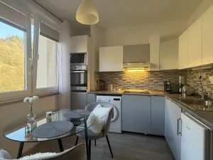 Pronájem bytu 1+1, Vsetín, Dolní Jasenka, 34 m2