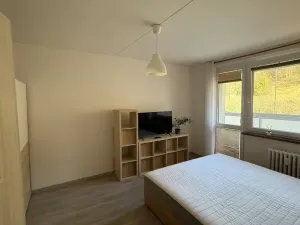 Pronájem bytu 1+1, Vsetín, Dolní Jasenka, 34 m2