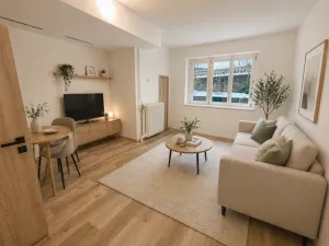 Prodej bytu 1+1, Praha - Nusle, 5. května, 40 m2