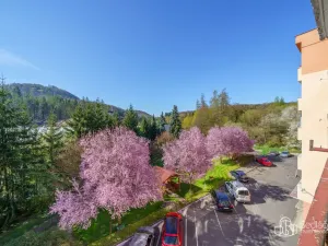 Prodej bytu 2+1, Kyselka - Radošov, 56 m2