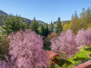 Prodej bytu 2+1, Kyselka - Radošov, 56 m2