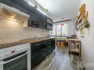 Prodej bytu 2+1, Kyselka - Radošov, 56 m2