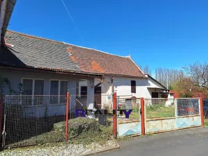 Prodej rodinného domu, Nepomyšl, 349 m2