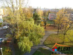 Pronájem bytu 1+kk, Ostrava - Moravská Ostrava, Lechowiczova, 29 m2