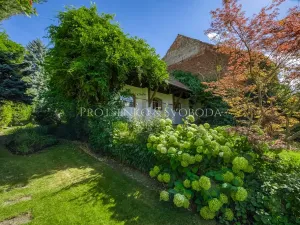 Prodej ordinace, Křižanov, Benešovo náměstí, 530 m2