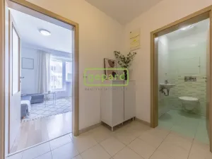 Prodej bytu 2+kk, Praha, Pískařská, 45 m2