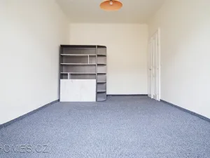 Pronájem bytu 3+1, Praha - Vinohrady, Slezská, 100 m2