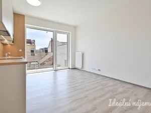 Pronájem bytu 1+kk, Brno, Křenová, 29 m2