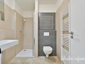 Pronájem bytu 1+kk, Brno, Křenová, 29 m2