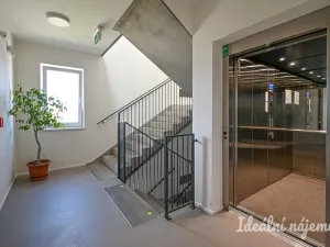 Pronájem bytu 1+kk, Brno - Trnitá, Křenová, 29 m2