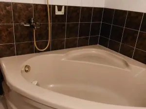 Pronájem bytu 1+1, Prostějov - Žešov, 40 m2