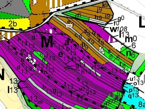 Dražba lesa, Dolní Vilémovice, 1957 m2