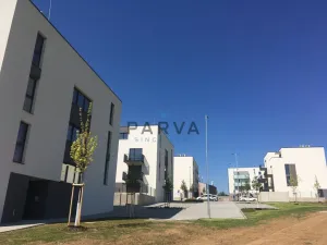 Pronájem bytu 1+kk, Plzeň - Litice, Hrachová, 33 m2