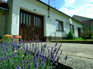 Prodej rodinného domu, Vlčnov, 75 m2