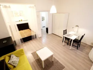 Pronájem bytu 1+kk, Brno - Veveří, Cihlářská, 29 m2