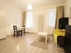 Pronájem bytu 1+kk, Brno - Veveří, Cihlářská, 29 m2