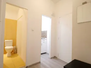Pronájem bytu 1+kk, Brno - Veveří, Cihlářská, 29 m2