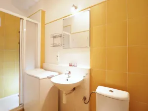 Pronájem bytu 1+kk, Brno - Veveří, Cihlářská, 29 m2