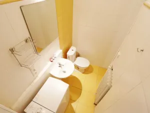 Pronájem bytu 1+kk, Brno - Veveří, Cihlářská, 29 m2