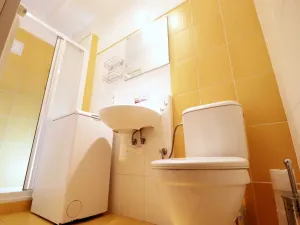 Pronájem bytu 1+kk, Brno - Veveří, Cihlářská, 29 m2