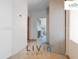 Pronájem bytu 3+1, Olomouc, Jiráskova, 85 m2