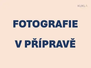 Prodej bytu 3+1, Praha - Krč, Panuškova, 76 m2