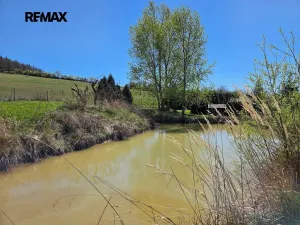 Prodej vícegeneračního domu, Předenice, 399 m2