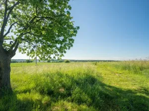 Prodej pozemku pro bydlení, Vejprnice, U Suché louky, 656 m2