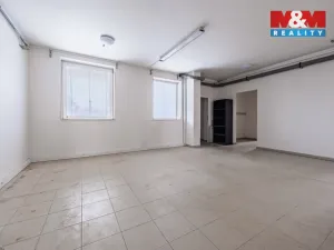 Pronájem obchodního prostoru, Příbram - Příbram VI-Březové Hory, K Podlesí, 326 m2