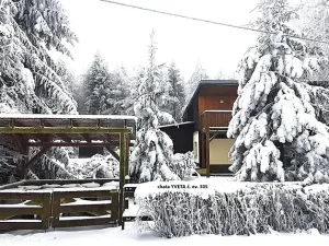 Prodej - jiné, Telnice, 323 m2