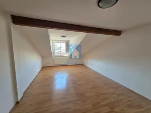 Pronájem bytu 4+kk, Plzeň, Přemyslova, 180 m2