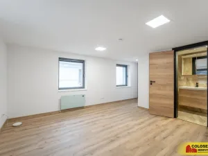 Pronájem bytu 1+kk, Brno - Husovice, 20 m2