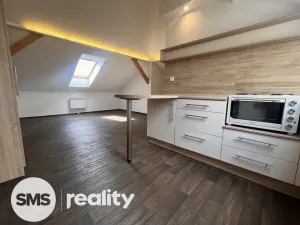 Pronájem bytu 1+kk, Ostrava, Dvouletky, 36 m2