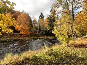 Prodej ubytování, Kašperské Hory - Opolenec, 234 m2