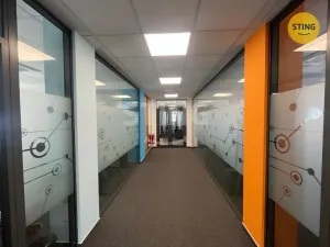 Pronájem kanceláře, Ostrava, Kounicova, 323 m2