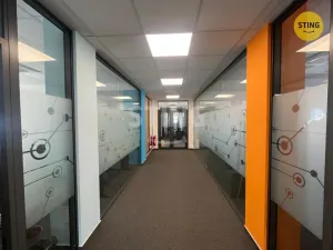 Pronájem kanceláře, Ostrava, Kounicova, 323 m2