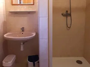 Prodej chalupy, Kašperské Hory - Opolenec, 234 m2