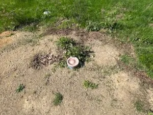 Prodej pozemku pro bydlení, Rumburk - Rumburk 3-Dolní Křečany, 1366 m2