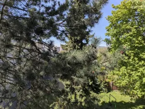 Pronájem bytu 2+1, Duchcov, Teplická, 58 m2