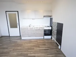 Pronájem bytu 1+kk, Český Těšín, Čáslavská, 32 m2